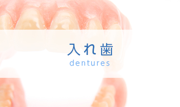 入れ歯 dentures